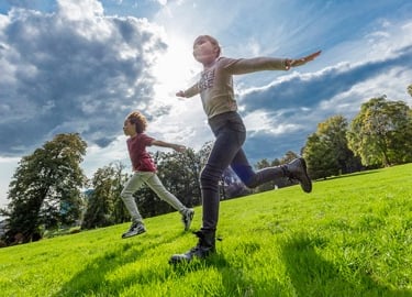Barenbrug vejos sėklos namų vejoms