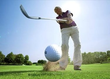 Barenbrug vejos sėklos golfui