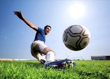 Barenbrug vejos sėklos sportui, stadionams