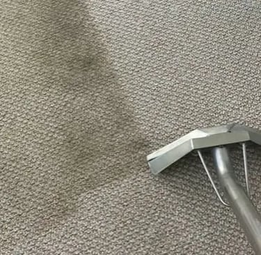 carpet cleaning with a wand