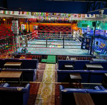 VIP standard, Comfortable leather seating near the fighter's entrance and the ring.