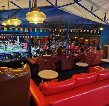 VIP premium , Enjoy luxury leather sofas with exclusive privacy and the best top views of the event