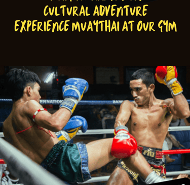 combat fight and training gym camp ticketssamui fight night knockout battle competition championship