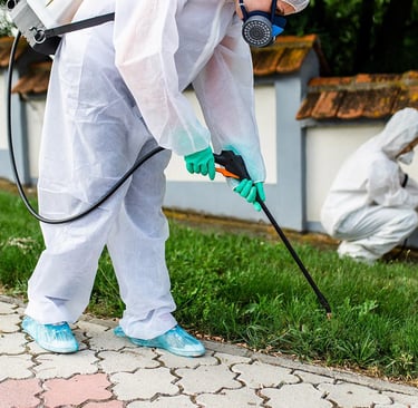 رش مبيدات في مكه