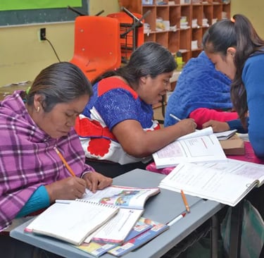INEA PRIMARIA INEA CERTIFICADO PRIMARIA INEA CURSOS INEA PRIMARIA EN INEA