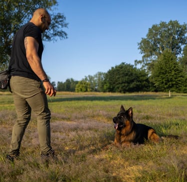 DiabK9 beim Training mit seinem Hund Dobby im Park