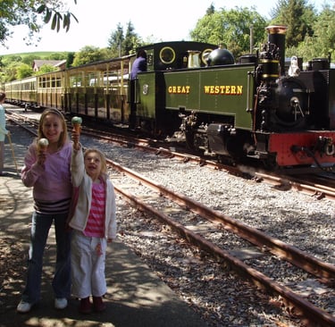 Vale of Rheidol Railway