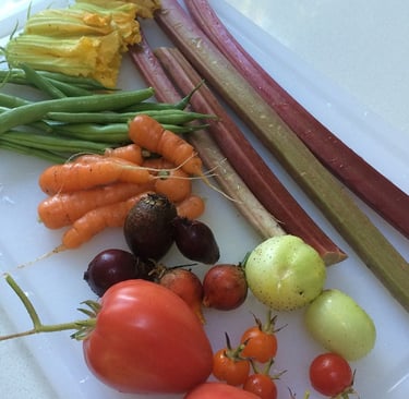 Harvested green beans, tomatoes, carrots and figs