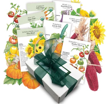 Children's Garden Bundle