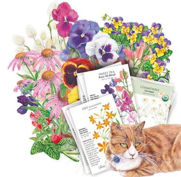 Alice's Garden Seed Bundle