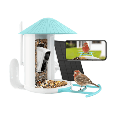 Birdfy Birdcam and Feeder