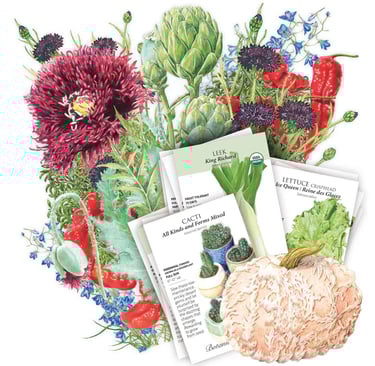 Game of Thrones Seed Bundle