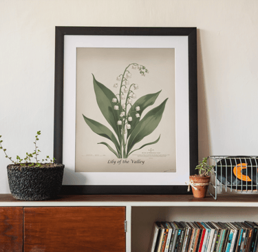 Lily of the Valley botanical print framed