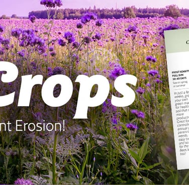 Cover Crops for Late Summer & Fall - Strengthen the Soil & Prevent Erosion