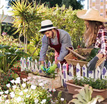Young couple putting plants in the garden.