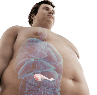 hormones perte de poids prise de poids