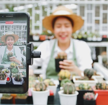 social media live small business