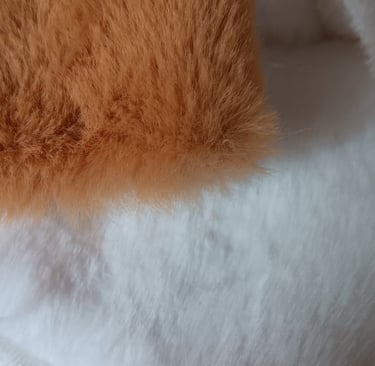 tissu rabbit