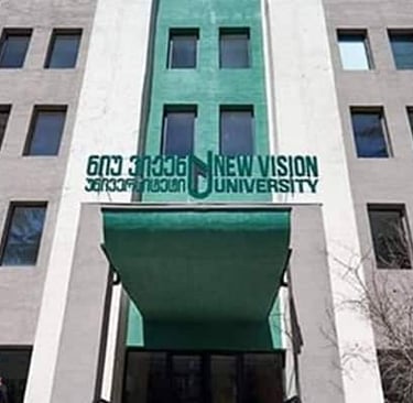 New Vision University
