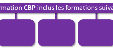 AIP, Association, RSA, PLIE, SIAE, Formation, conseiller numérique, Mitry Mory, Chelles, Fle, Emploi, Soft Skills, langue, ap