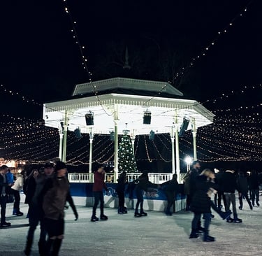 Winter Wonderland - 2016