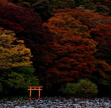 Petite porte torii avec les couleurs de l'automne