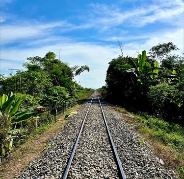 Rails du bamboo train dans la province de Battambang, Cambodge