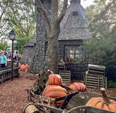 La cabane de Hagrid à Universal Studios en Floride