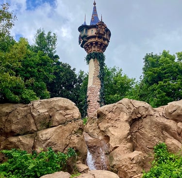 Tour de Raiponce à Magic Kingdom, Walt Disney World en Floride