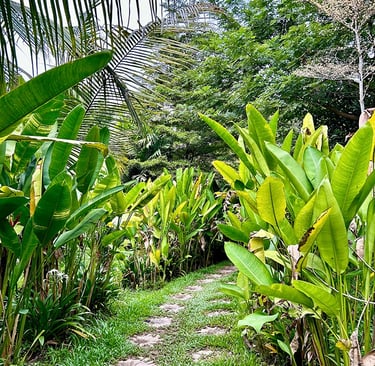 Jardin botanique de Siem Reap, Cambodge