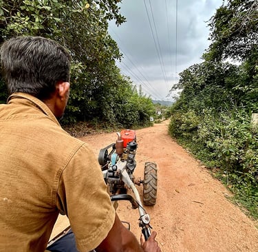 Balade en tracteur dans la campagne de Sigiriya