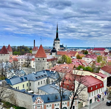 Vue sur la ville-basse de Tallinn depuis Patkuli Vaateplatvorm