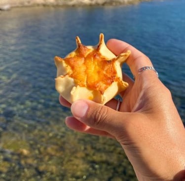 Alghero ricottina