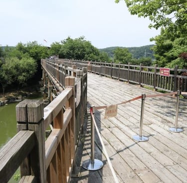 dmz-korea-ponte-della-liberta