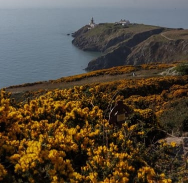 hothw-irlanda-faro