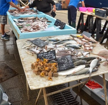 marsiglia-vieux-port-pesce-fresco