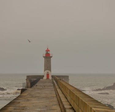 porto-faro