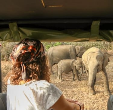 yala-national-park-elefante