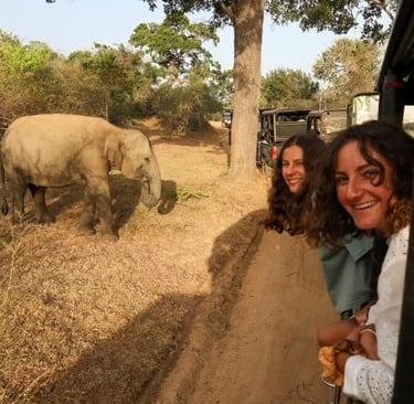 yala-national-park-sorelle