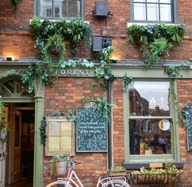 york-bicicletta-rosa