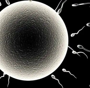  ovulation kya hota hai