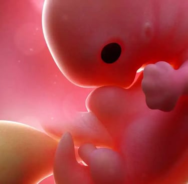 ओवुलेशन के कितने दिन बाद इम्प्लांटेशन होता है