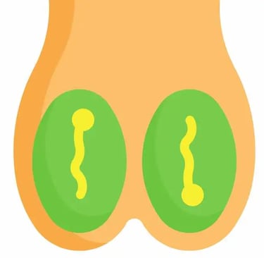 Andkosh - Varshan kya hai - टेस्टिकल्स क्या है