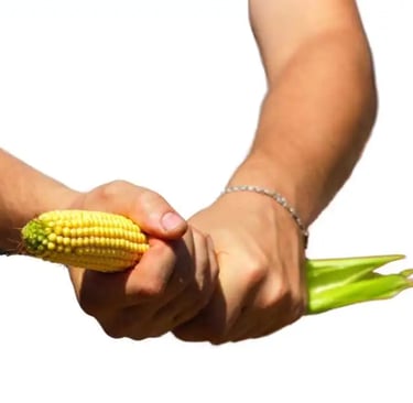 hastmaithun kitne din me karna Chahiye