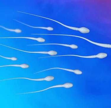 sperm count kaise badhaye