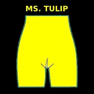 मिस ट्यूलिप