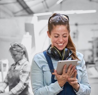 Small business owners - affordable accounting package - Bare Bones accountant