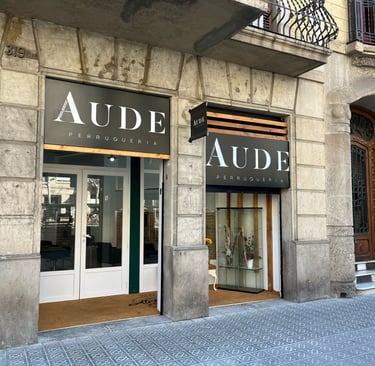 aude perruqueria corte de pelo