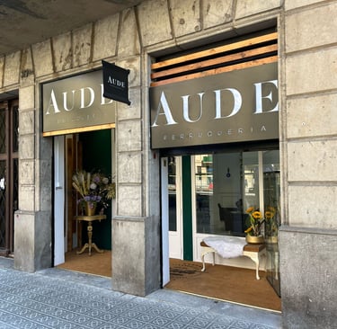 salón de belleza cerca de mi aude perruqueria