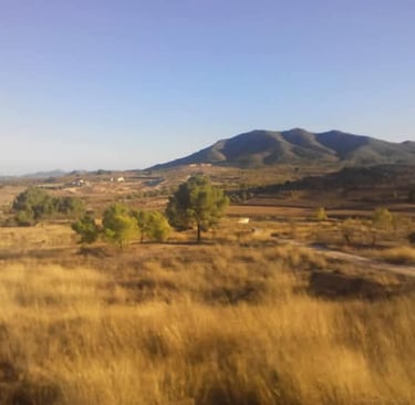 one to one residentials spain